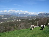 002 Bellori-Erbezzo 20-04-2008 (5)