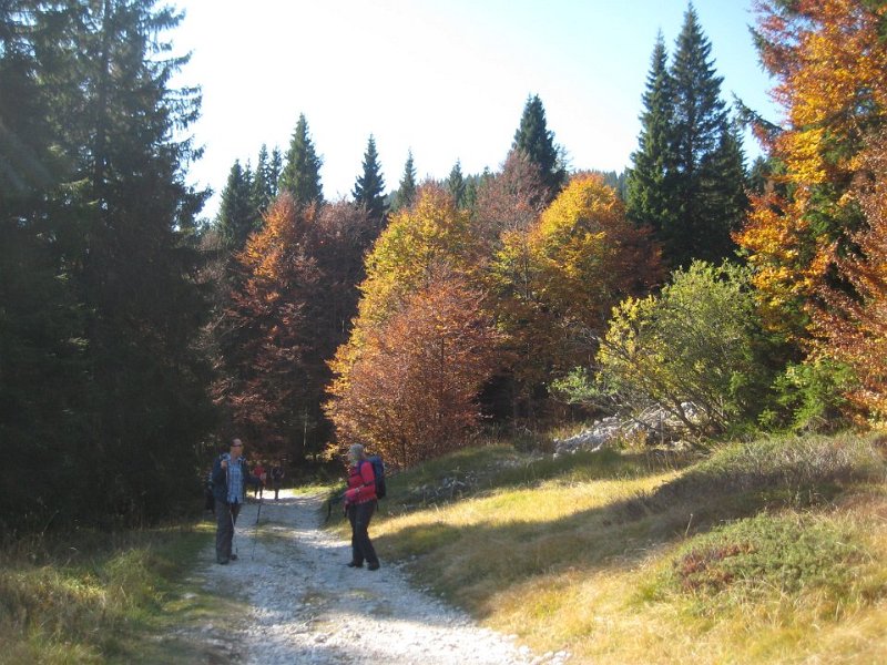 14-10-18 Asiago Melette (13)