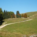 14-10-18 Asiago Melette (4)