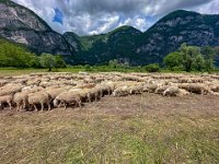 Valsugana Bici  (16)