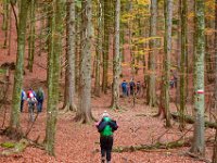 100 laghi appennini (4)